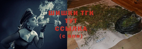 молекула духа Алексеевка
