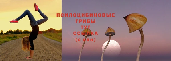 кокс Семилуки