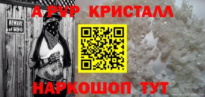 прущие грибы Волгодонск