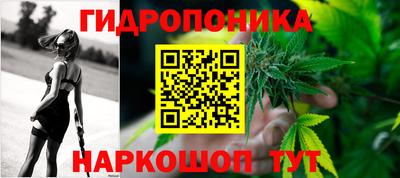 прущие грибы Волгодонск
