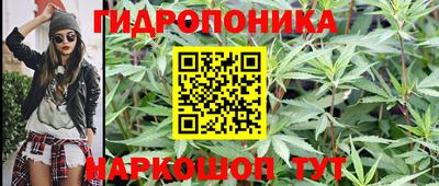 прущие грибы Волгодонск